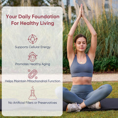LongJuvity Labs postbiotic origin from pomegranate is visually represented.