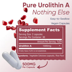 LongJuvity Labs Urolithin A capsules front highlight easy daily dosage.