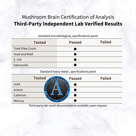 Lost Empire Herbs Mushroom Brain label close-up reveals ingredients for cognitive versatility.