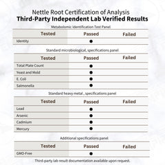 Lost Empire Herbs nettle root extract shown in daily-use setup.