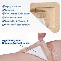LotFancy dressing border close-up showing secure adhesion