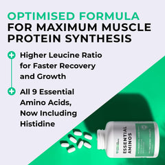 Love Life Supplements fast absorption visual, EAAs absorbed quickly for workouts.
