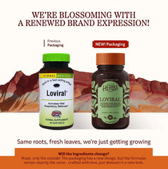 Lomatium plant extract in Loviral's respiratory blend.