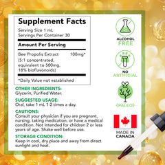 LOVITA Canadian sourcing badge on bottle signifying GMP-quality assurance