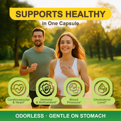 LOVITA Odorless Garlic Capsules close-up of capsule coating for burpless comfort