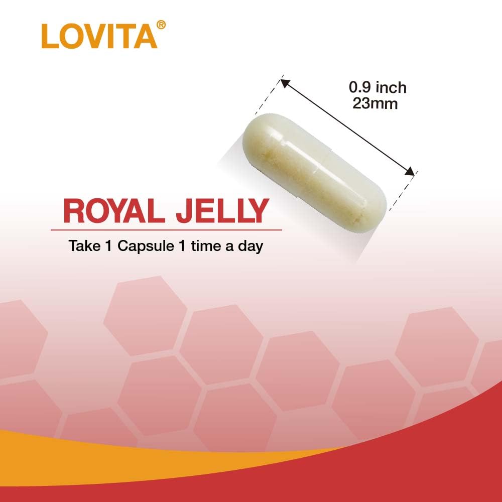 GMP-certified Lovita production emphasizes consistent quality.