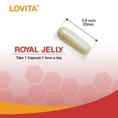 GMP-certified Lovita production emphasizes consistent quality.