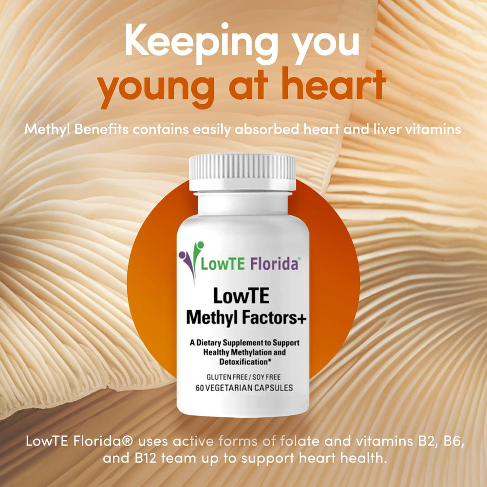 LowTE Florida Methyl Factors+ packaging shot underscoring vegetarian, gluten-free formula.