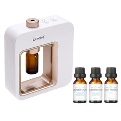 LOXIM Pride diffuser bundle setup in living room for serene ambience.
