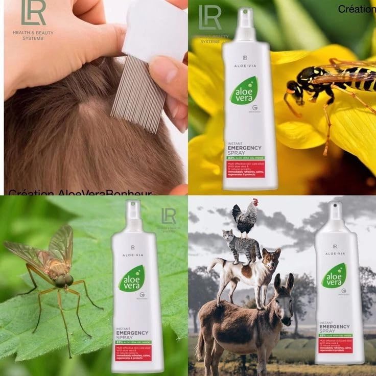 Hands applying Aloe-Via Aloe Vera spray on the arm for quick refreshment