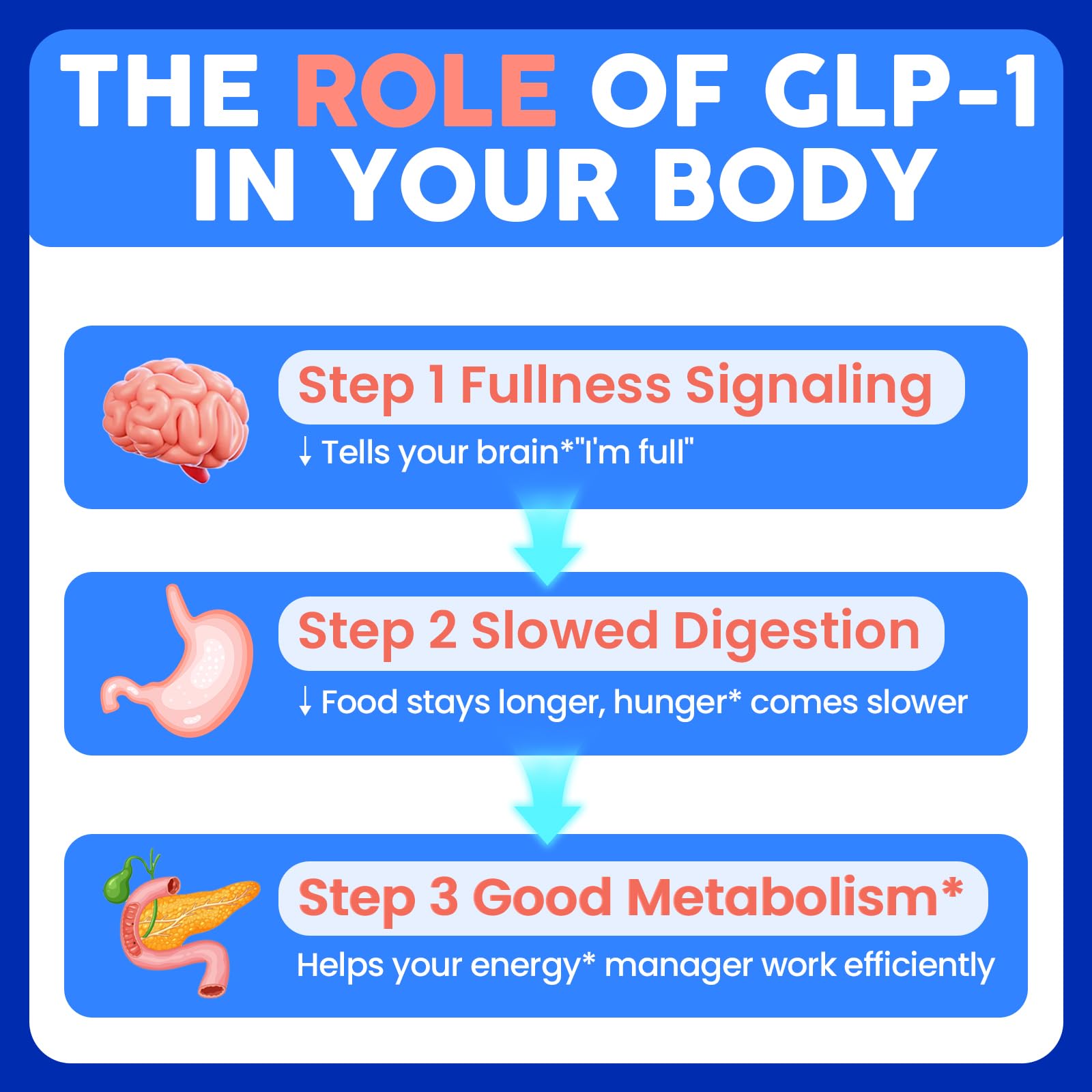 Lriftey GLP-1 visual of Akkermansia ingredient supporting gut health.