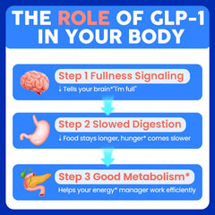 Lriftey GLP-1 visual of Akkermansia ingredient supporting gut health.
