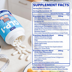 Lriftey GLP-1 digestion scene showing probiotic blends at work.