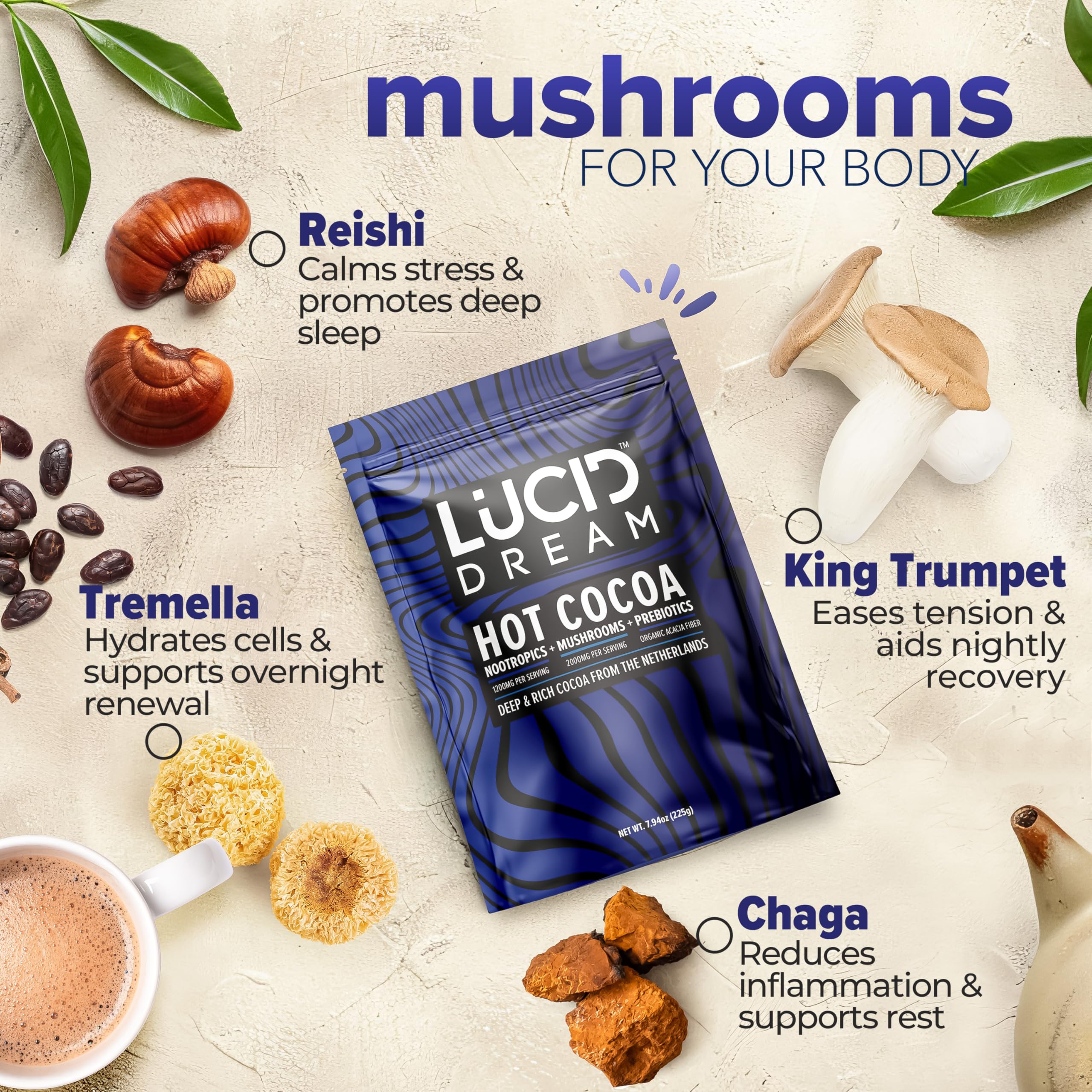 Lucid Dream Mushroom Hot Cocoa relaxation ritual creates a cozy nighttime wind-down