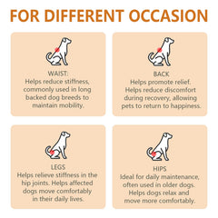 Luma Pet Care belt wraps around hips, back, and shoulders during therapy.