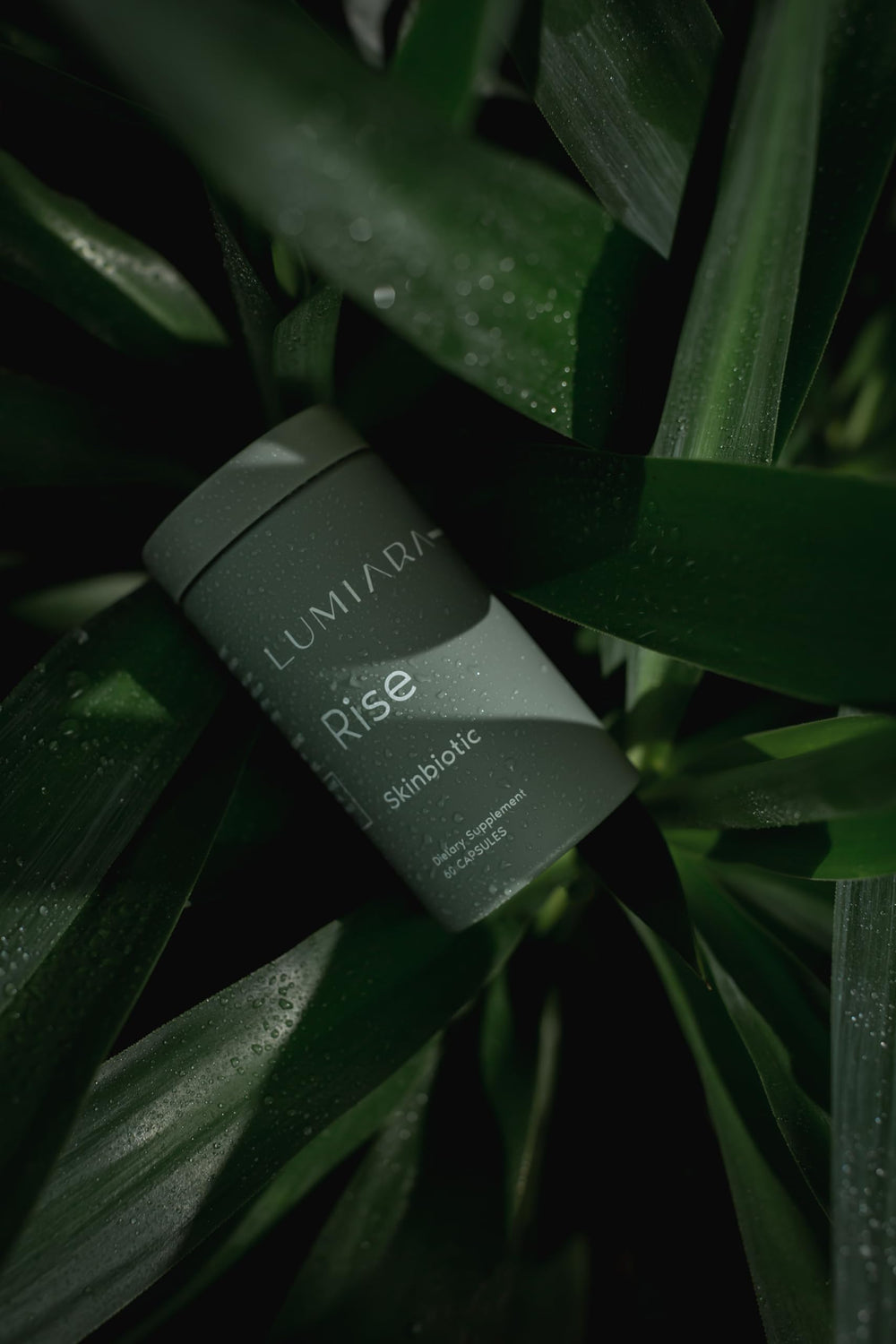 Close-up of Lumiara Rise Skinbiotic capsules for gut and skin health