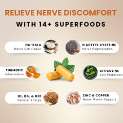 Lune Nerve Matrix capsules close-up highlighting advanced R-ALA absorption