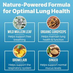 Mullein leaf extract drops in a dropper for lung support