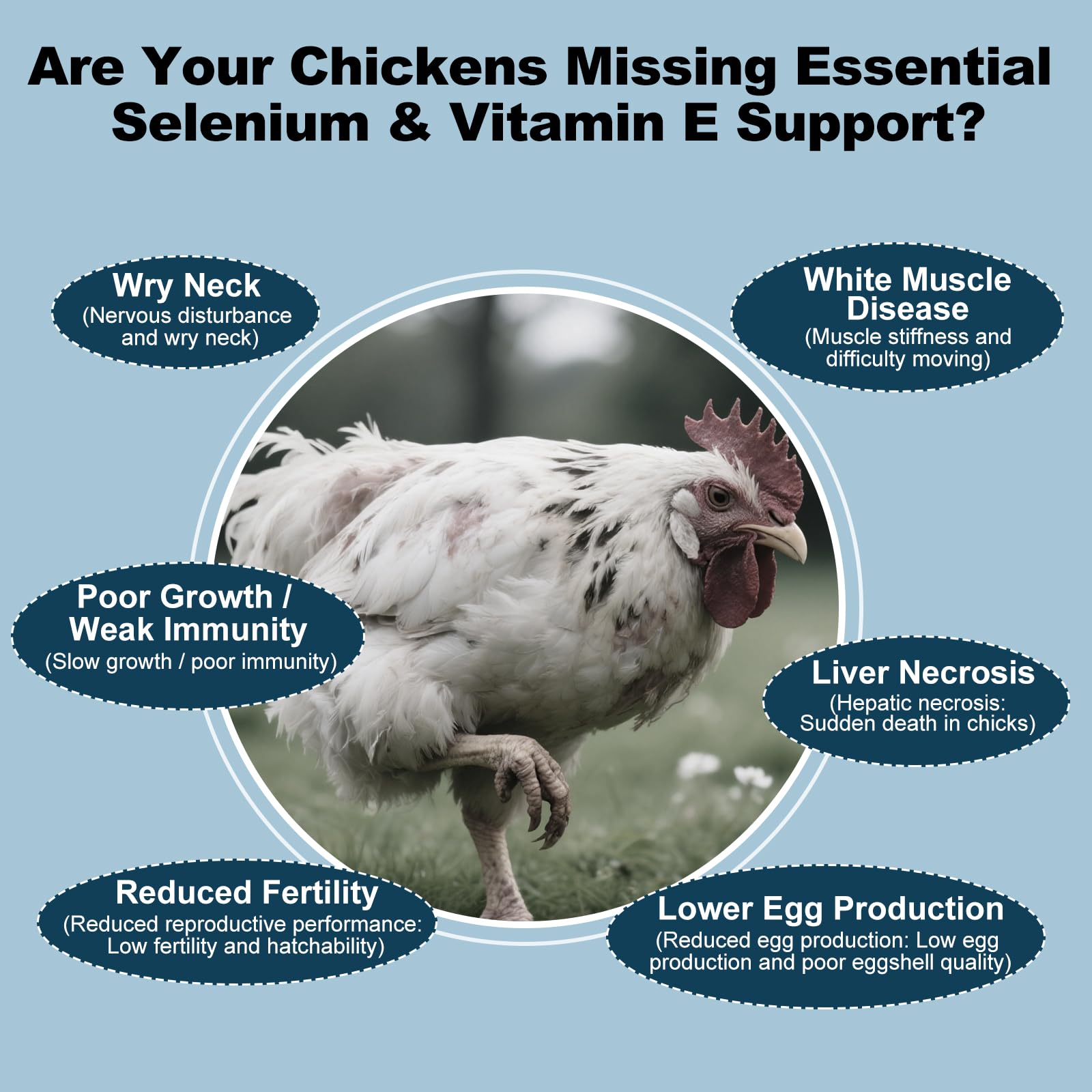 Chickens in coop with LuxeVib bottle for daily supplement routine
