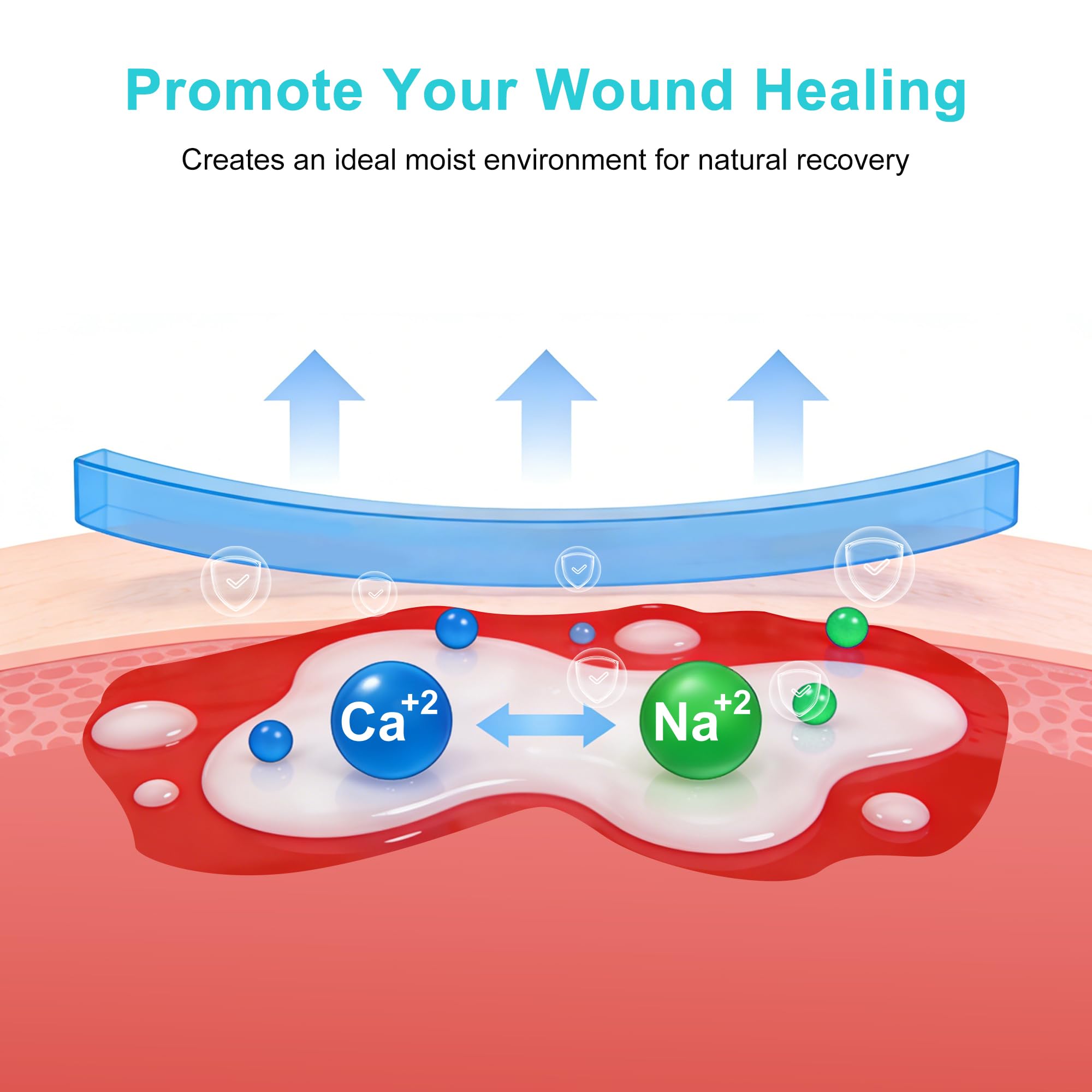 LVonge alginate pad demonstrates 20x absorption to handle heavy drainage