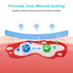 LVonge alginate pad demonstrates 20x absorption to handle heavy drainage