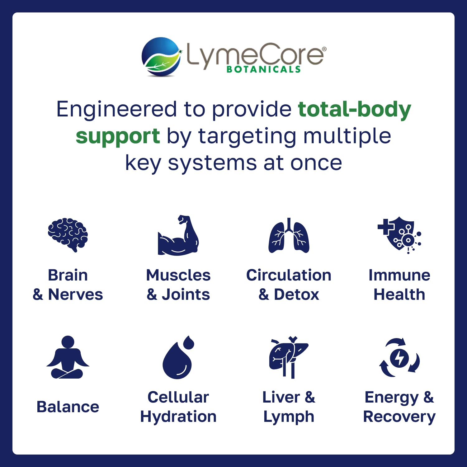 LymeCore Foundation Cat’s Claw imagery signaling herbal resilience for everyday wellness.