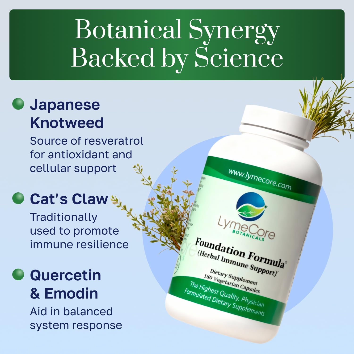 LymeCore Foundation Knotweed visuals hinting at plant-based balance in daily routines.