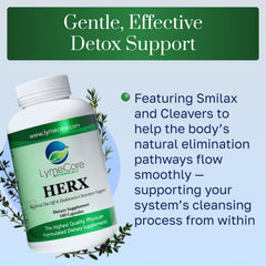 LymeCore HERX Detox cleavers-plant visual emphasizing lymphatic support
