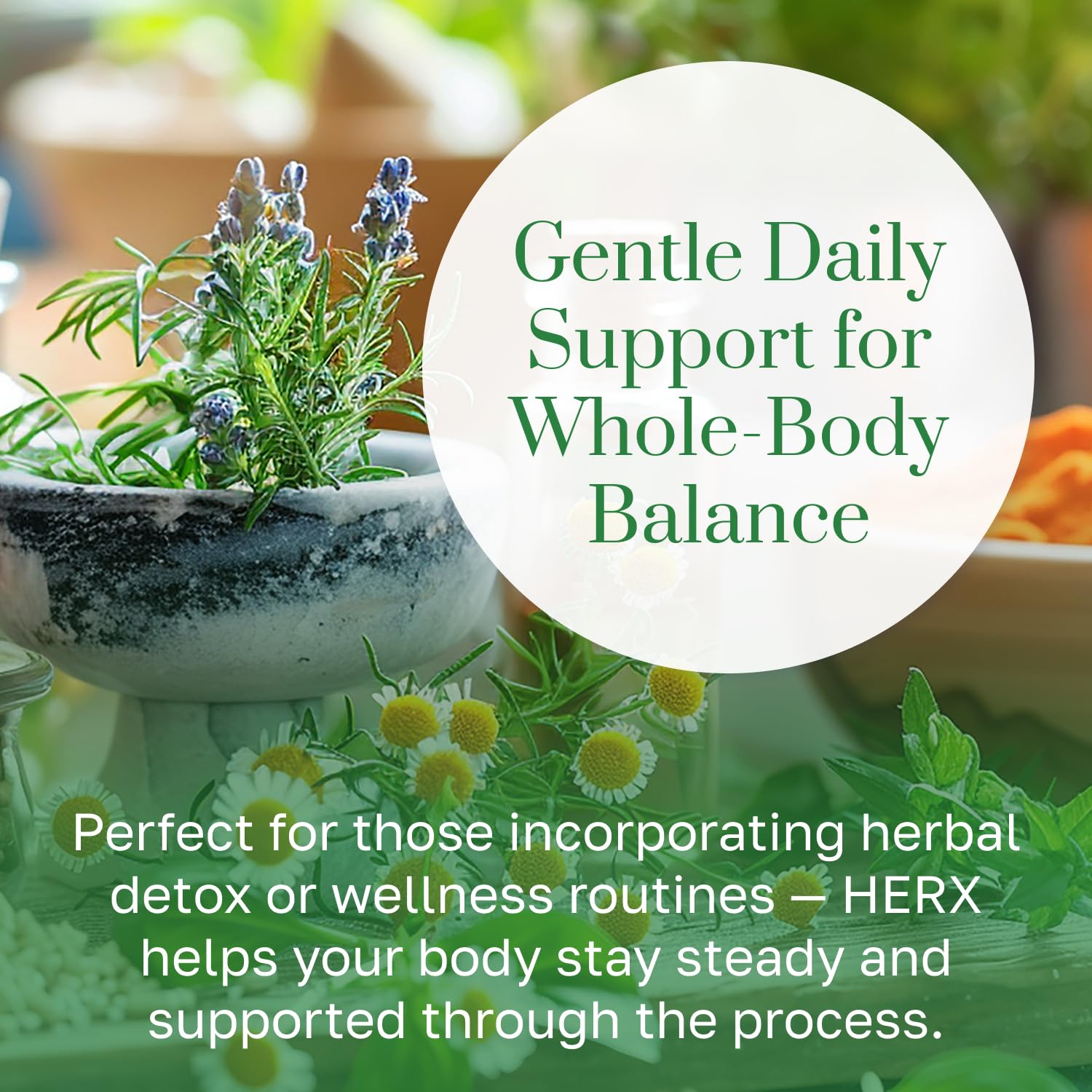 LymeCore HERX Detox sarsaparilla-ingredient focus on metabolic byproducts