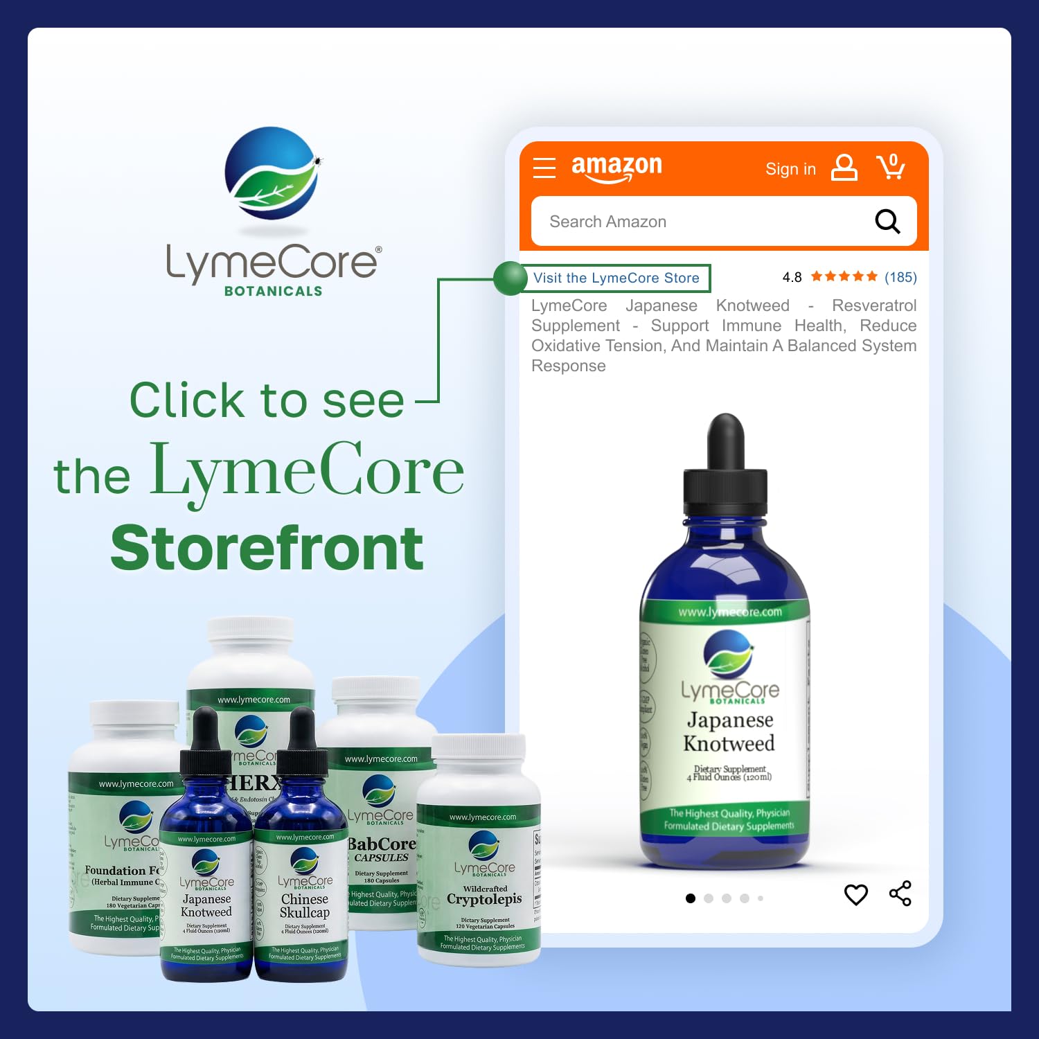 LymeCore Japanese Knotweed drops measured for accurate dosing.