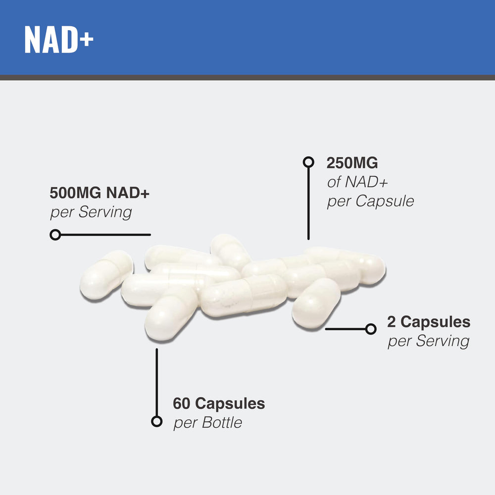 MAAC10 NAD liposomal matrix graphic illustrates high bioavailability benefits.