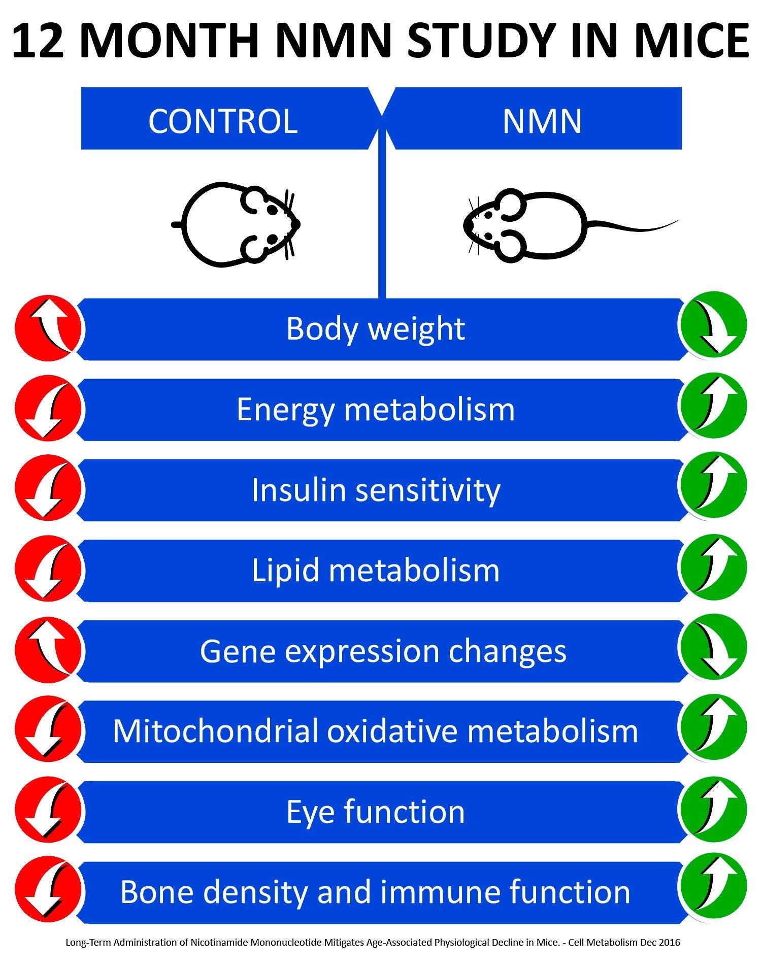 MAAC10 NMN bottle label emphasizing pharmaceutical-grade NMN purity.