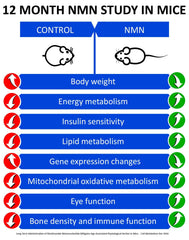 MAAC10 NMN bottle label emphasizing pharmaceutical-grade NMN purity.