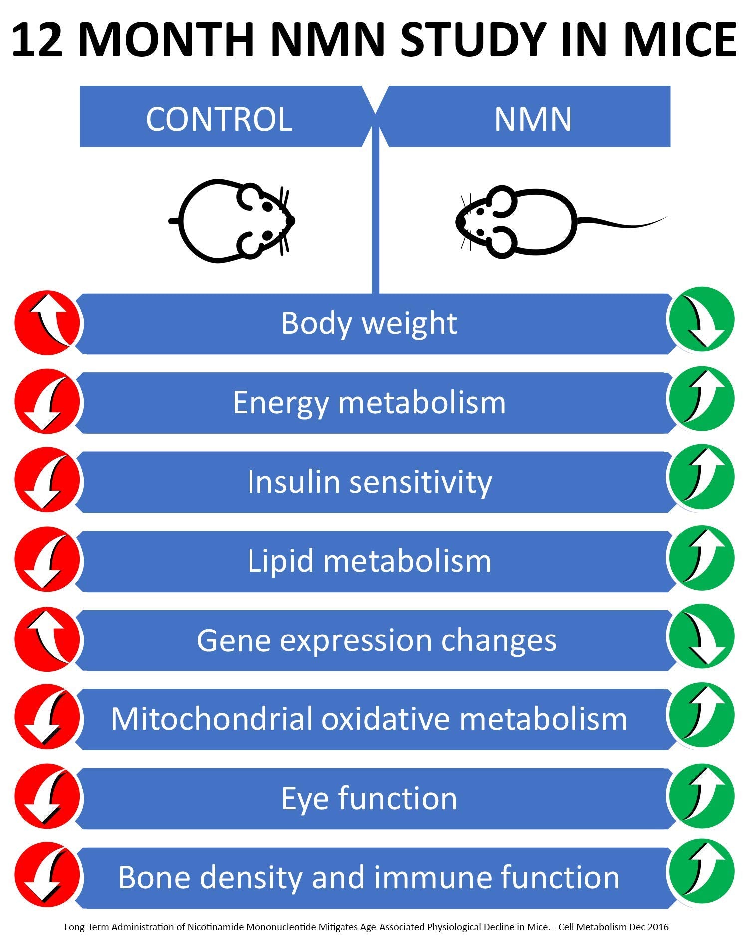Poured NMN capsules for easy daily dosing and routine