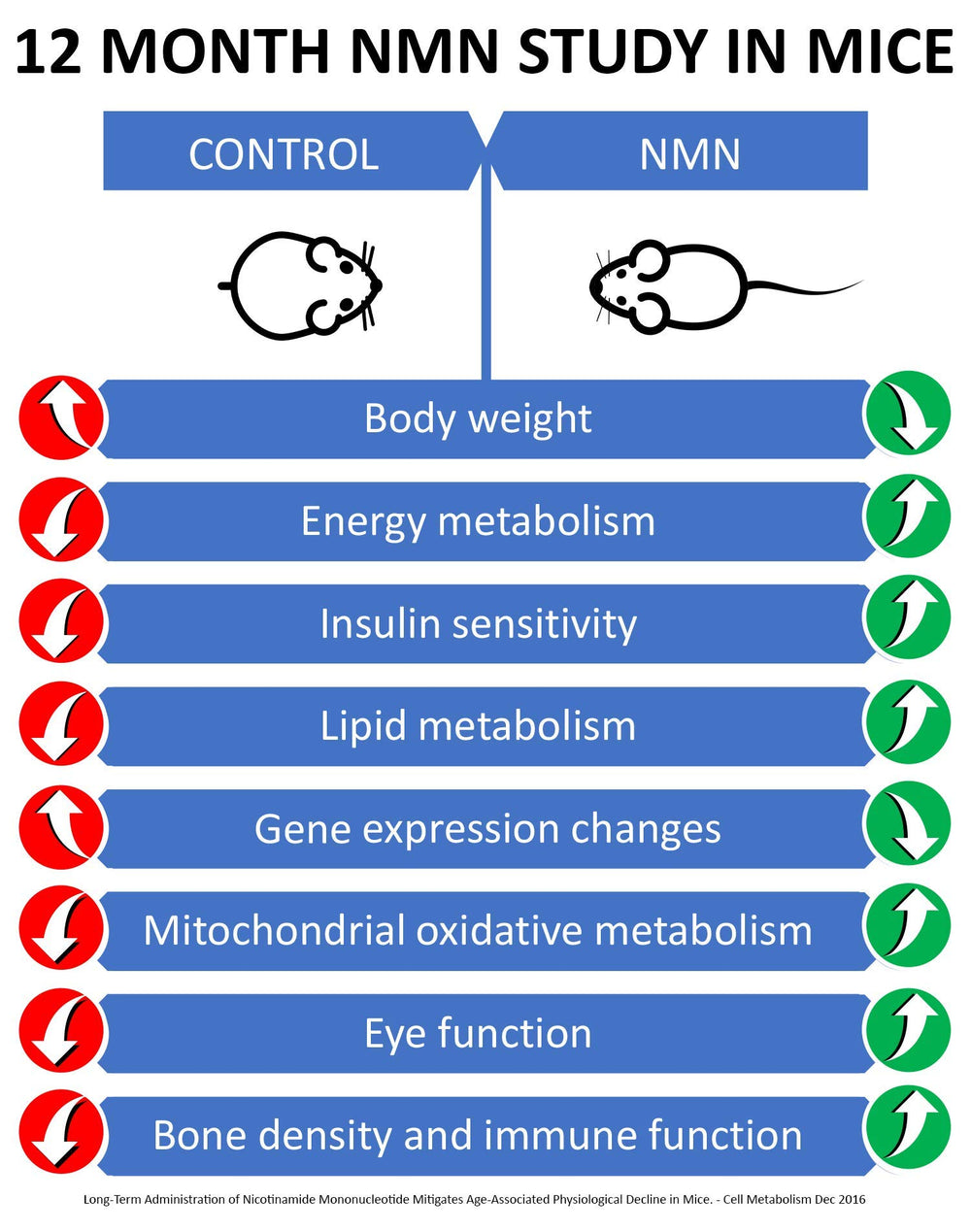 Poured NMN capsules for easy daily dosing and routine