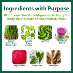 MacroLife Macro Greens smoothie blend ready to mix into drinks