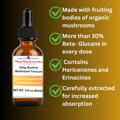Mag Mushrooms Daily Routine image of fruiting bodies highlighting rich compounds for daily vitality.