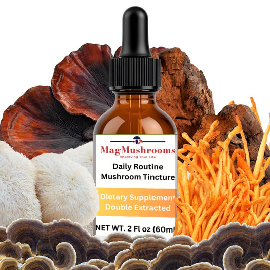 Mag Mushrooms Daily Routine tincture bottle on a clean surface, supports daily focus.