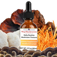 Mag Mushrooms Daily Routine tincture bottle on a clean surface, supports daily focus.