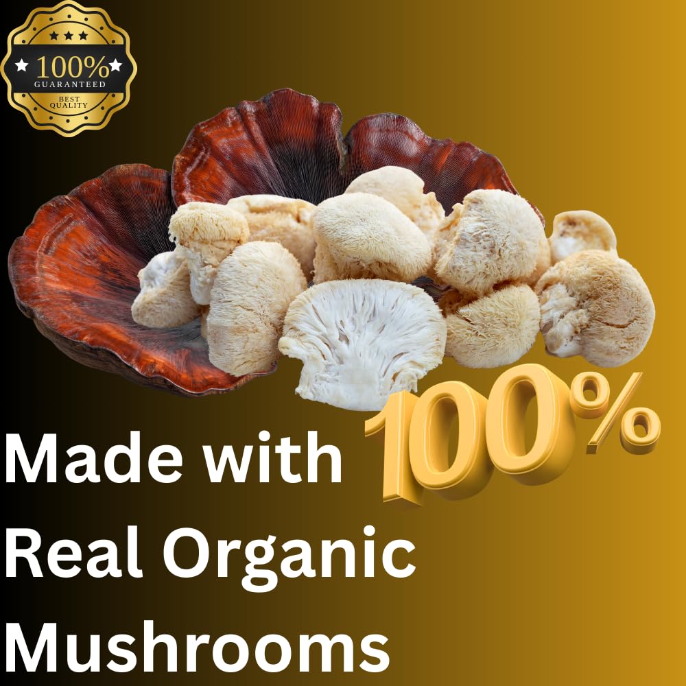 Mag Mushrooms dropper showing precise dosing for daily tincture use.