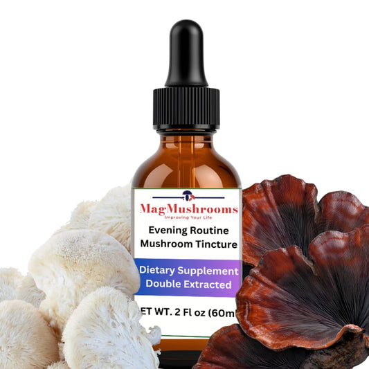 Mag Mushrooms Evening Routine tincture bottle for evening calm and relaxation.