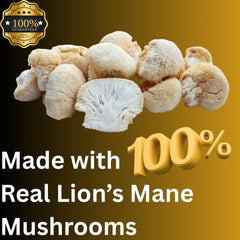 Mag Mushrooms Lion’s Mane gummies daily dose in hand for routine use