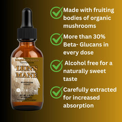 Mag Mushrooms Lion’s Mane liquid with dropper demonstrates convenient daily dosing for focus.