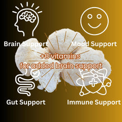 Dropper image showing convenient use of Mag Mushrooms Lion's Mane tincture