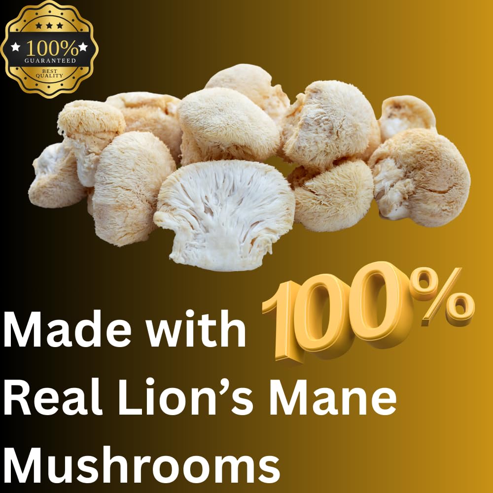 Mag Mushrooms Lion's Mane tincture packaging box for quick product identification