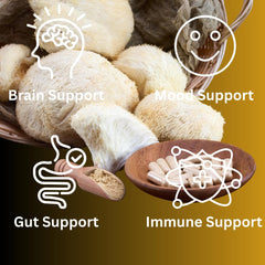 Mag Mushrooms third-party testing certificate confirms purity and potency.