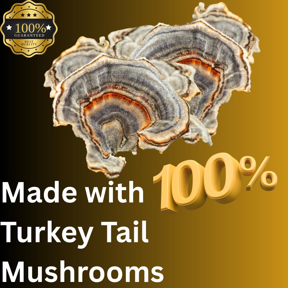 Mag Mushrooms Turkey Tail GMP manufacturing label indicating quality standards.