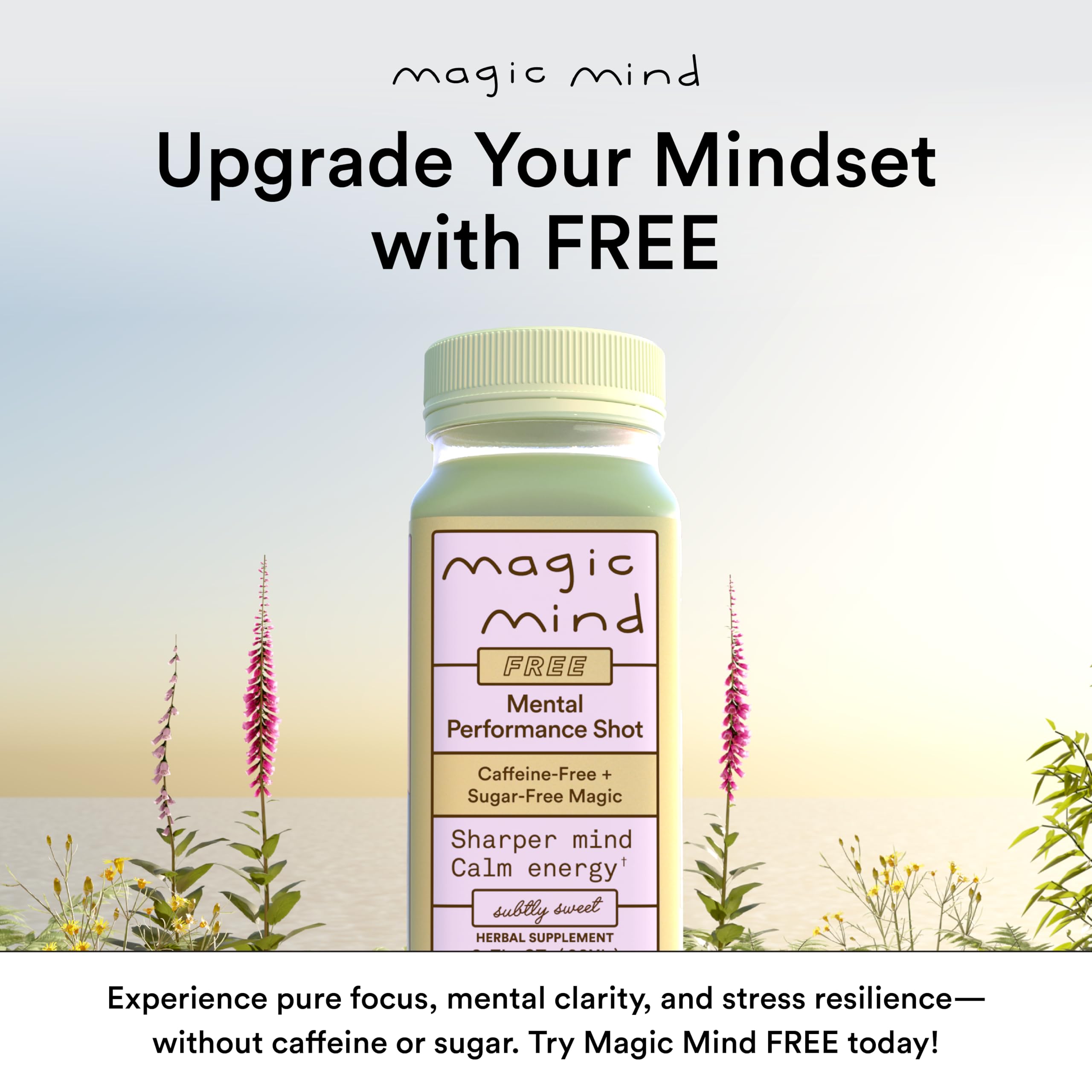 Display of Magic Mind 30-pack on a shelf for convenient momentum.