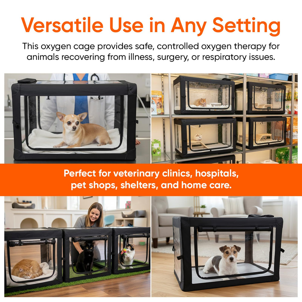 Main Clinic Supply soft mat inside the cage adds comfort for resting pets during treatment
