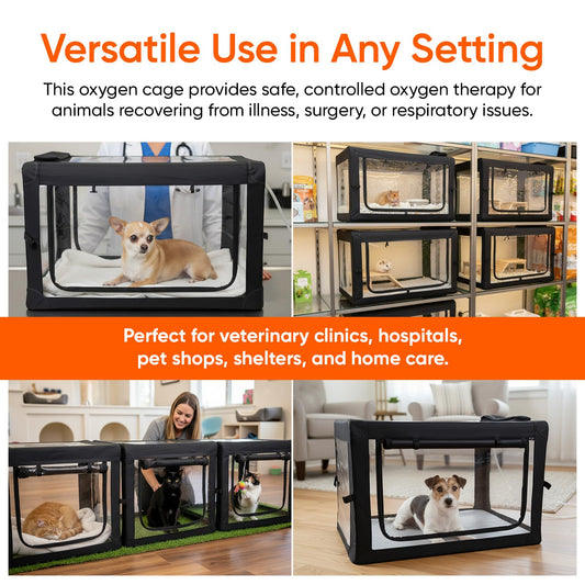 Main Clinic Supply soft mat inside the cage adds comfort for resting pets during treatment